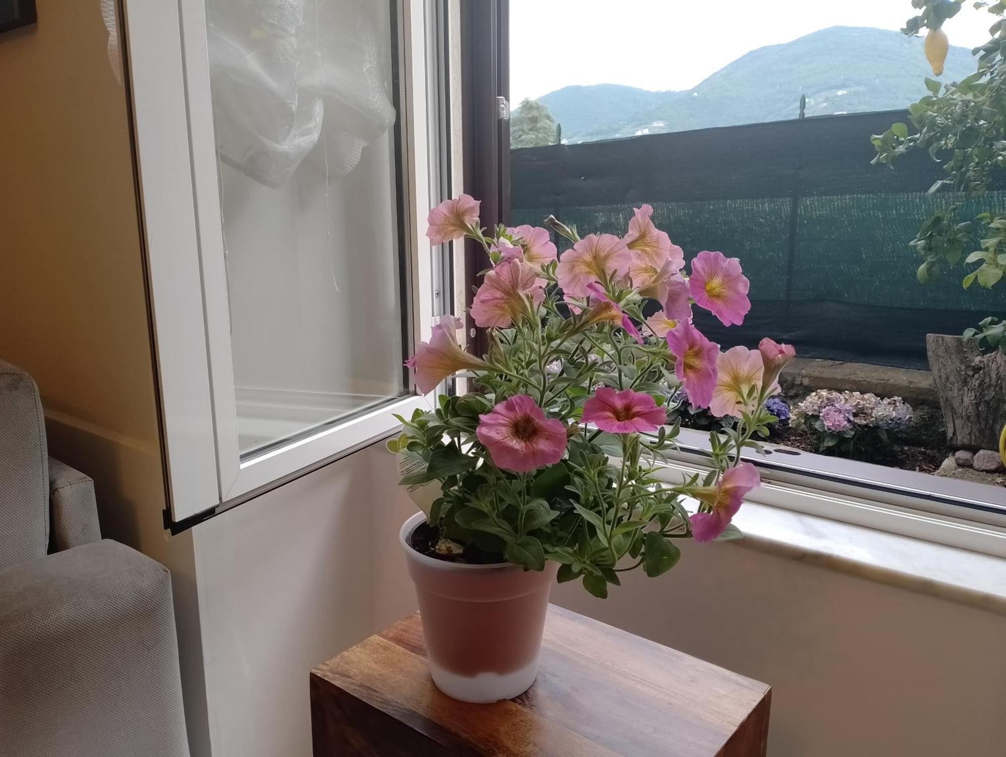 Casa Veve' Διαμέρισμα Λα Σπέτσια Εξωτερικό φωτογραφία